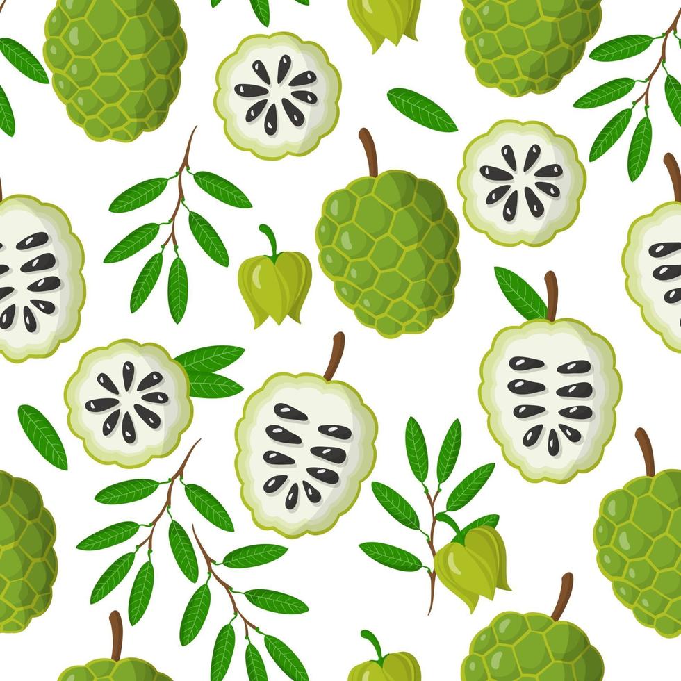 Vector cartoon seamless pattern con annona muricata frutti esotici, fiori e foglie su sfondo bianco