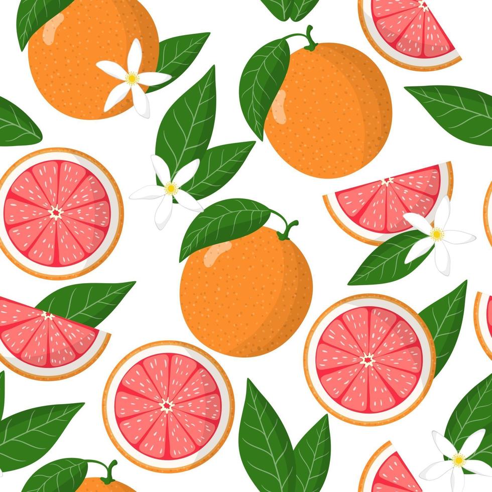 Vector cartoon seamless pattern con citrus paradisi o pompelmo frutta esotica, fiori e foglie su sfondo bianco
