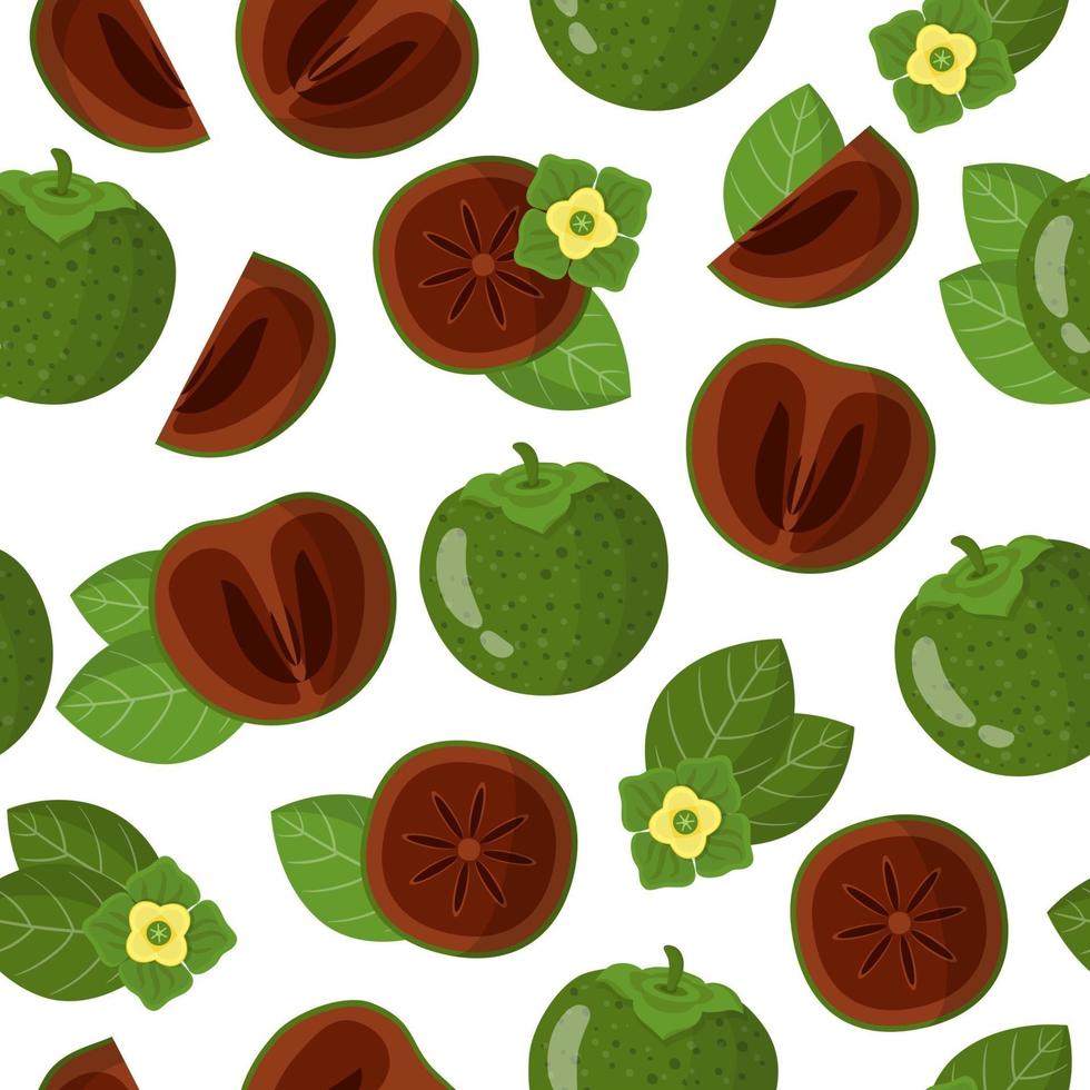 Vector cartoon seamless pattern con diospyros-nigra o sapote nero frutti esotici fiori e foglie su sfondo bianco