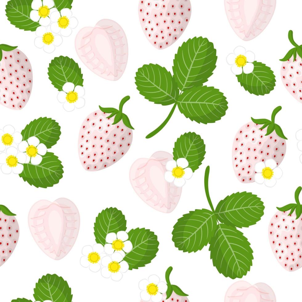 Vector cartoon seamless pattern con fragole bianche o pineberry frutti esotici, fiori e foglie su sfondo bianco