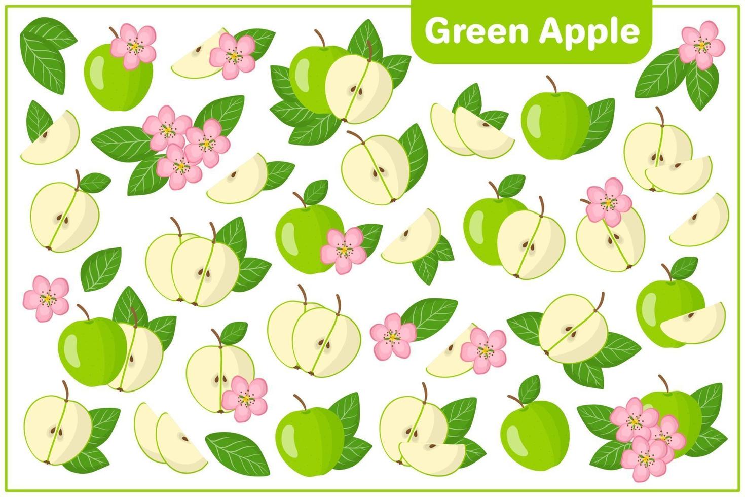 serie di illustrazioni vettoriali di cartone animato con frutta esotica mela verde, fiori e foglie isolati su backgroundv bianco