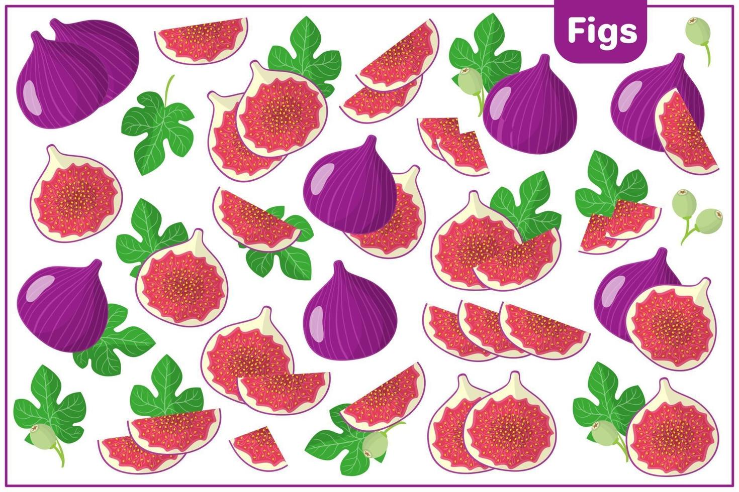 serie di illustrazioni vettoriali di cartone animato con fichi frutti esotici, fiori e foglie isolati su priorità bassa bianca