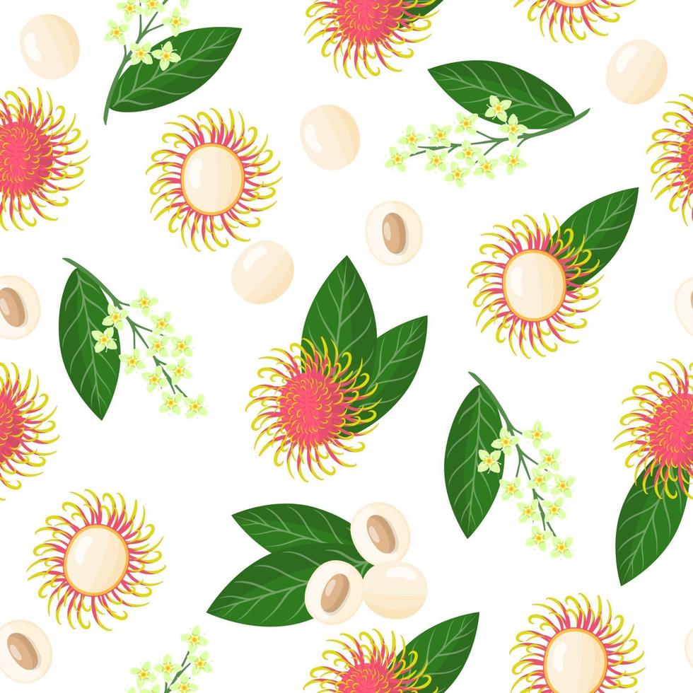 Vector cartoon seamless pattern con nephelium lappaceum o rambutan frutti esotici, fiori e foglie su sfondo bianco