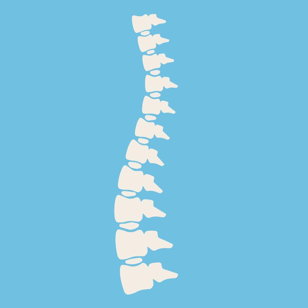 i problemi con colonna vertebrale. posizione questioni. vertebrale colonna. raggi X di interno organi. medico cura. frattura di intervertebrale dischi vettore