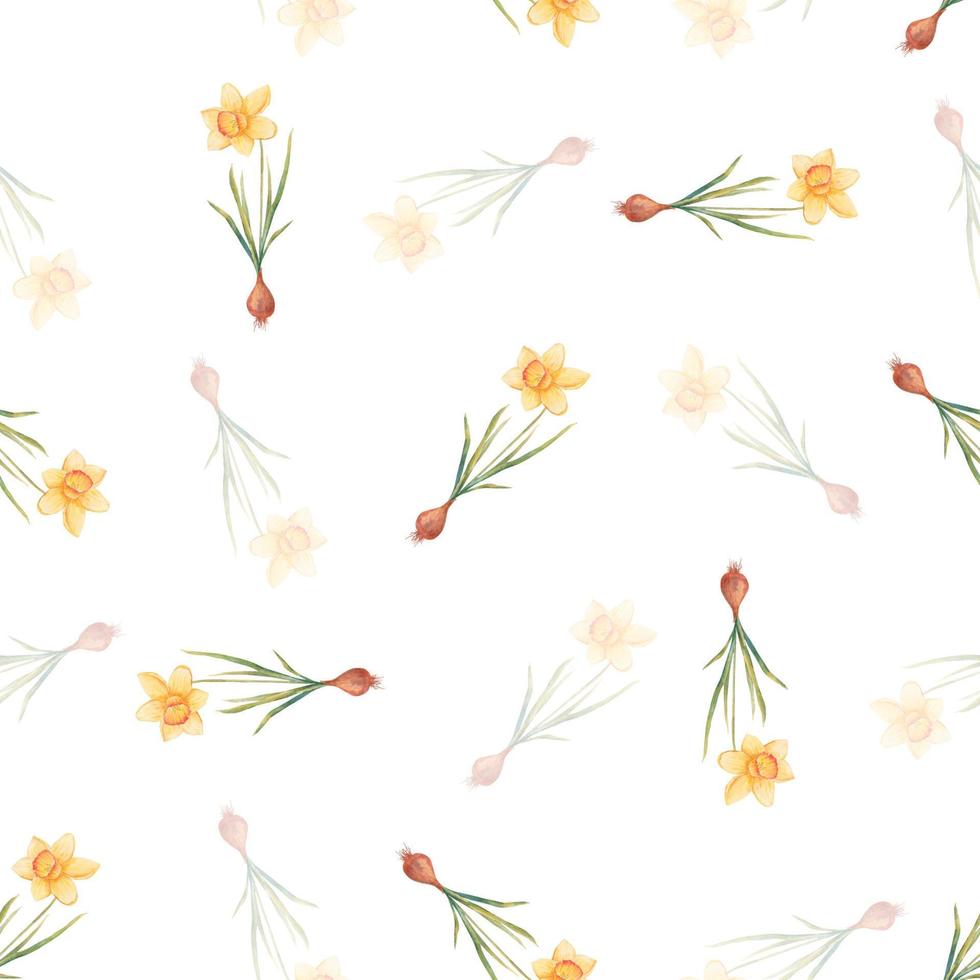 acquerello botanico realistico floreale modello con Narciso. luminosa giallo narciso su un' bianca sfondo. naturale e vivace ripetuto Stampa per tessile, sfondo. primavera fiori vettore