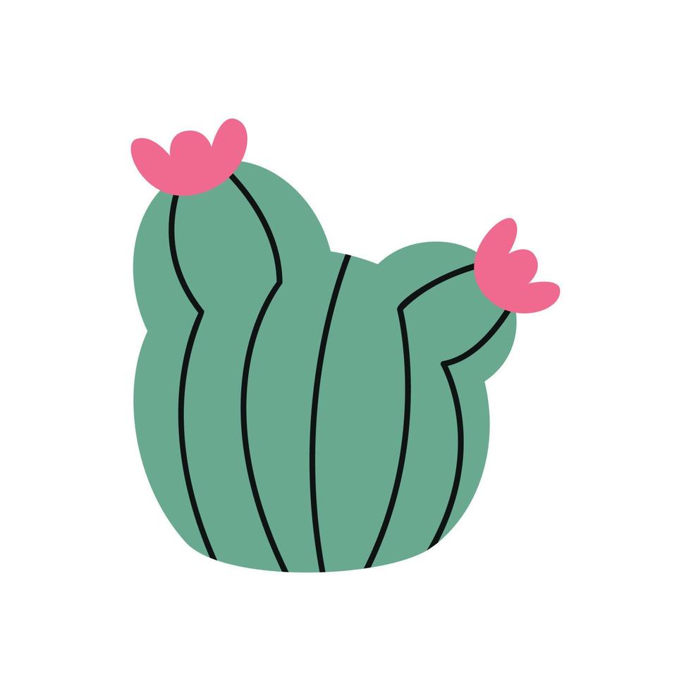 piatto mano disegnato vettore illustrazione di cactus
