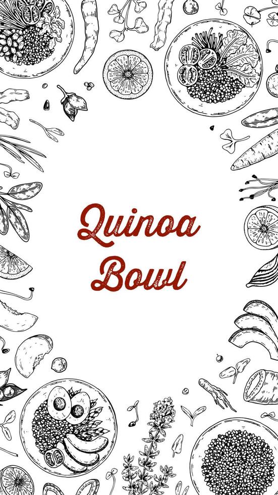 quinoa ciotola sfondo. mano disegnato vettore illustrazione nel schizzo stile. ristorante menù design