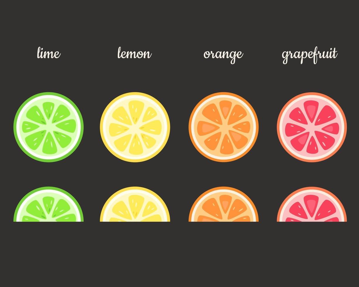 fette di frutta. lime, limone, arancia, pompelmo. illustrazione vettoriale