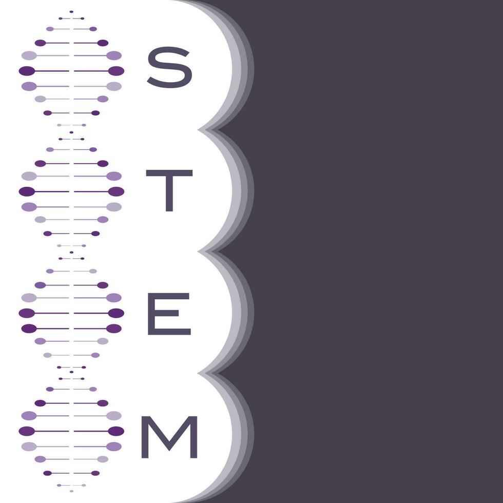 stelo scienza tecnologia ingegneria e matematica vettore illustrazione sfondo grafico