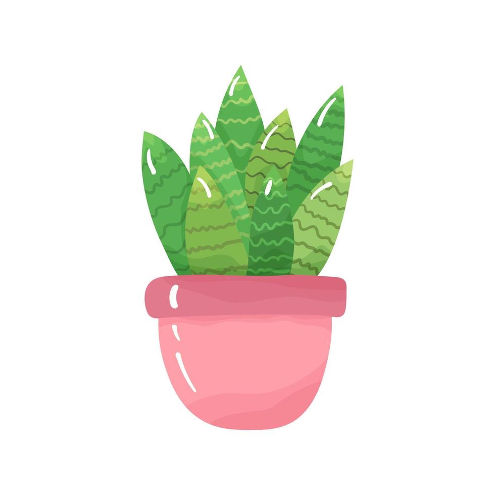 cartone animato in vaso pianta della casa - carino verde cactus con picchi nel un' rosa pentola. isolato su bianca sfondo. vettore