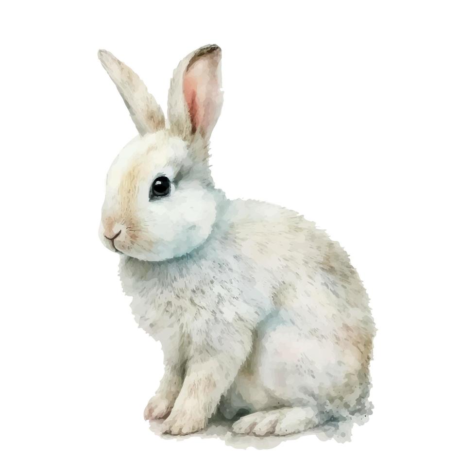 acquerello Pasqua coniglietto coniglio su bianca sfondo vettore