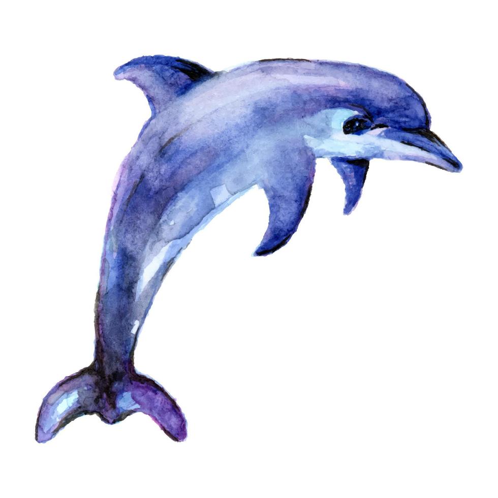 cartone animato delfino nel acqua o mare. acquerello vettore animale arte per sfondo. tatuaggio acquerello. acquerello sfondo illustrazione, acqua, dipingere