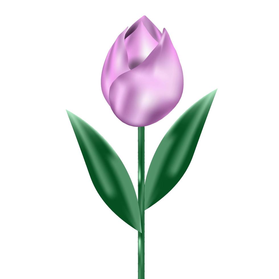 rosa 3d tulipano con verde stelo e verde foglia vettore