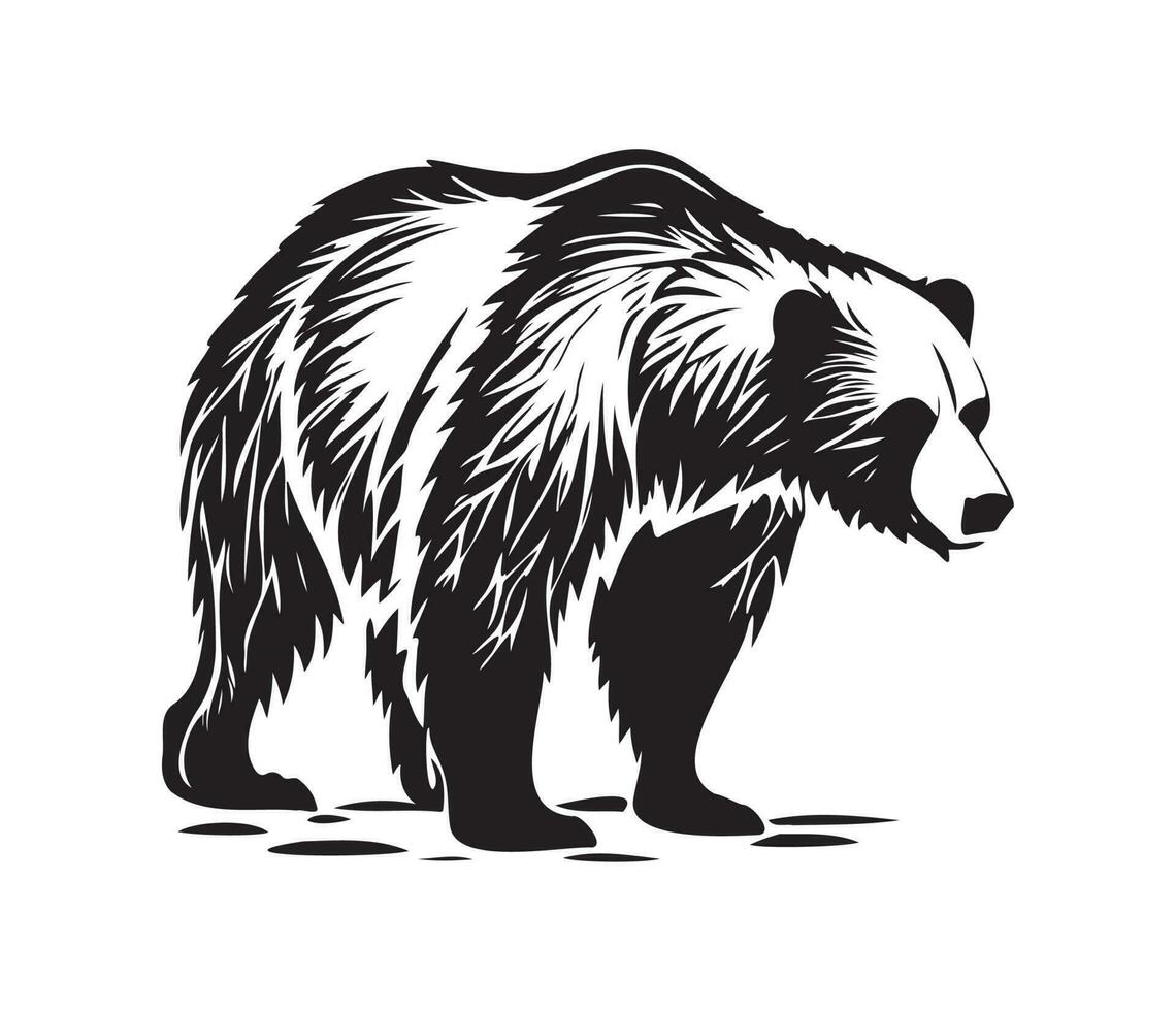 grizzly orso viso, sagome grizzly orso viso, nero e bianca grizzly orso vettore