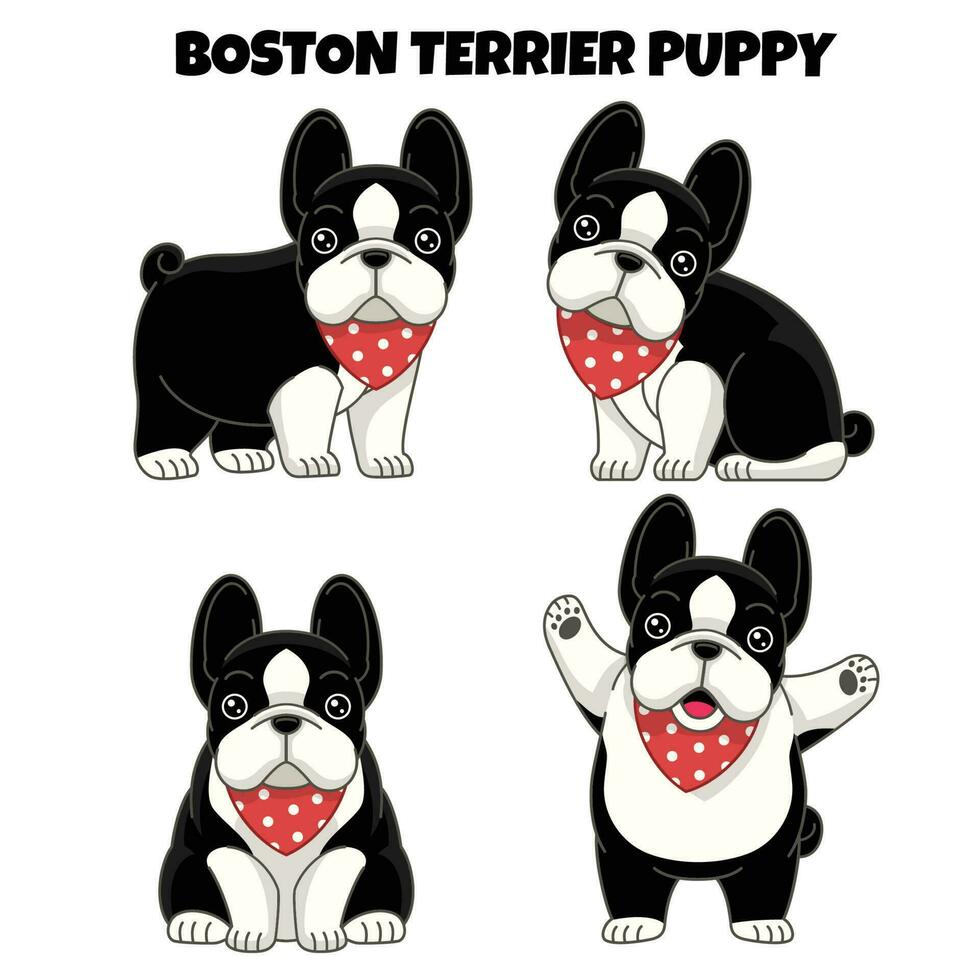 impostato di boston terrier cucciolo cane vettore