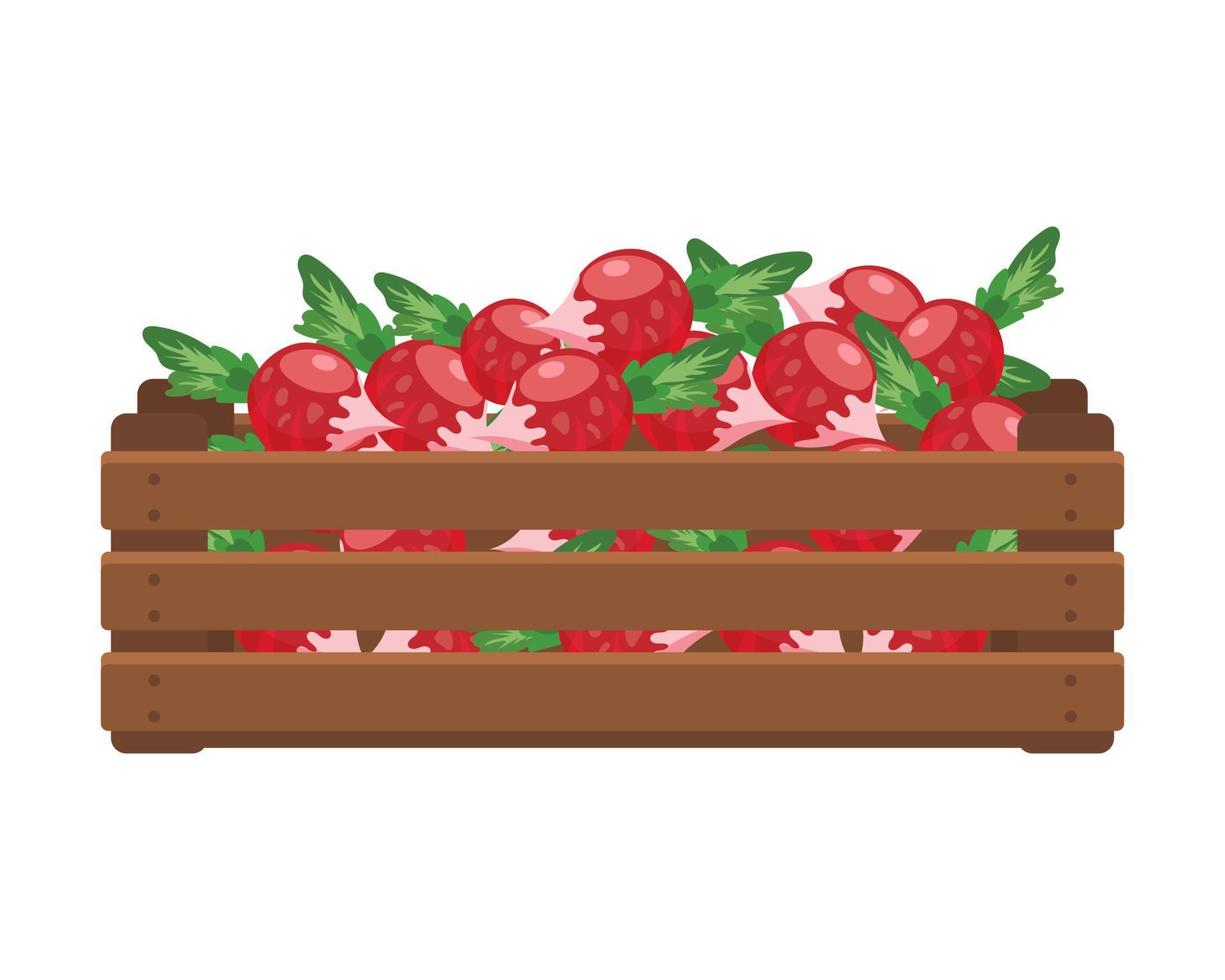 di legno scatola con Ravanelli. cibo, la verdura, agricoltura illustrazione, vettore