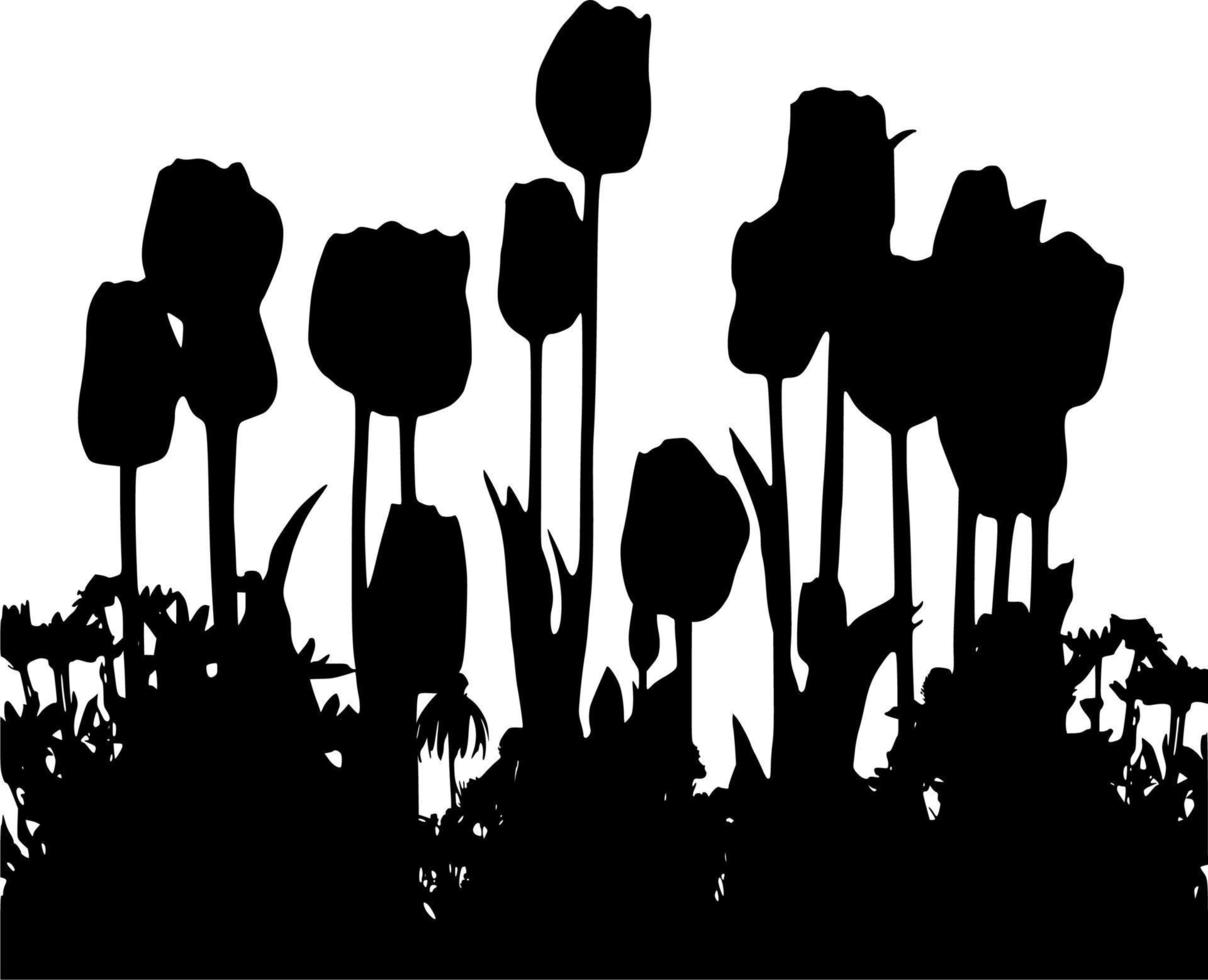 vettore silhouette di tulipani su bianca sfondo