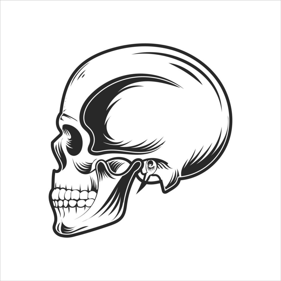 umano cranio balck e bianca vettore design