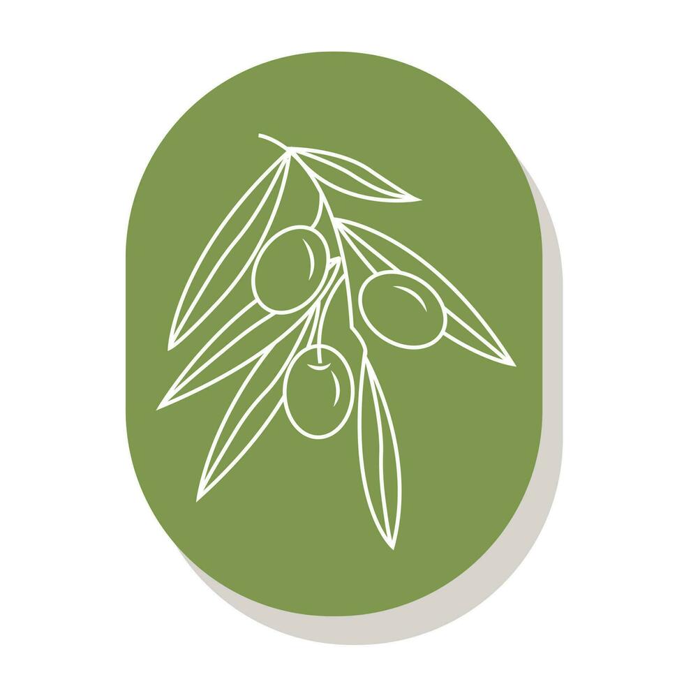 olive su un' ramo. semplice logo per il tuo design. vettore illustrazione.