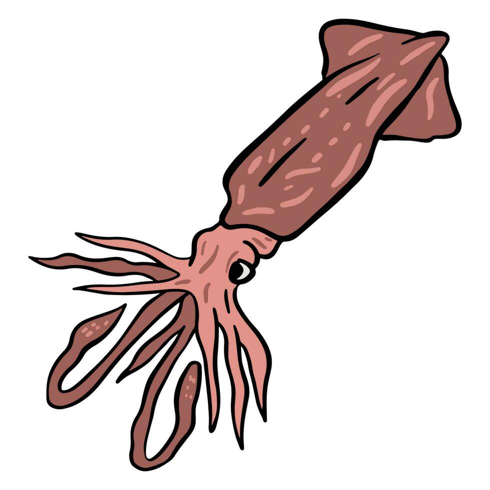 nuoto rosso calamaro ,Bene per grafico design risorse, manifesti, striscioni, modelli, stampe, colorazione libri e di più. vettore