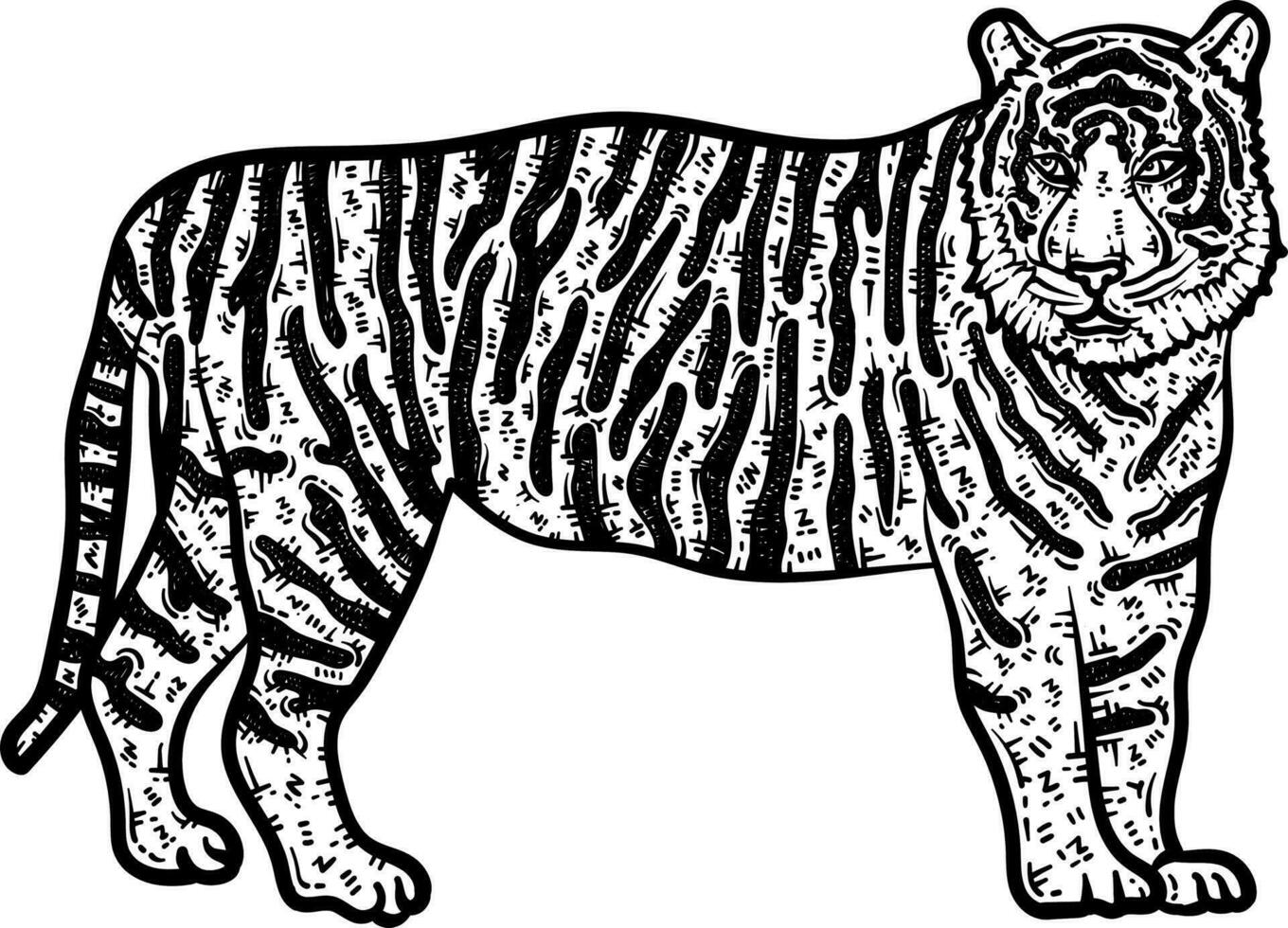 tigre animale colorazione pagina per adulti vettore