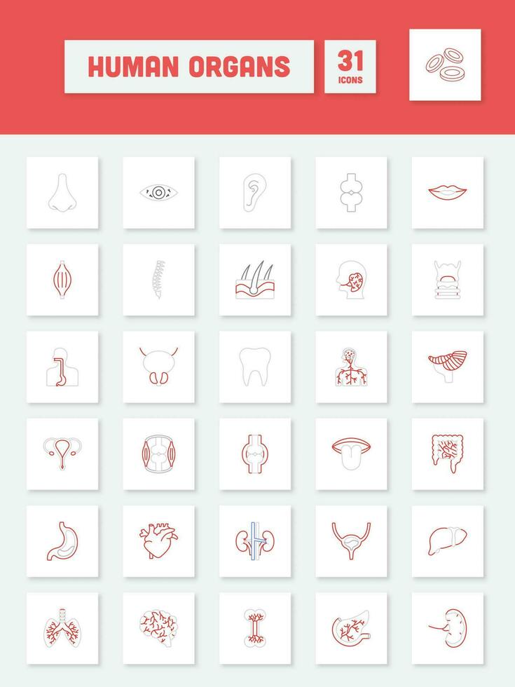 grigio e rosso lineare stile umano organo piazza icona impostare. vettore