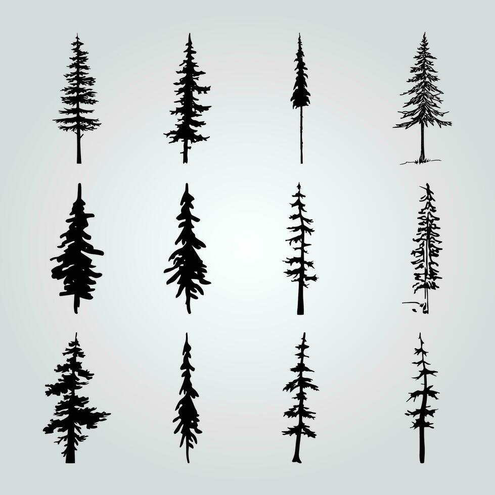 un' collezione di pino alberi con diverso forme e taglie. vettore