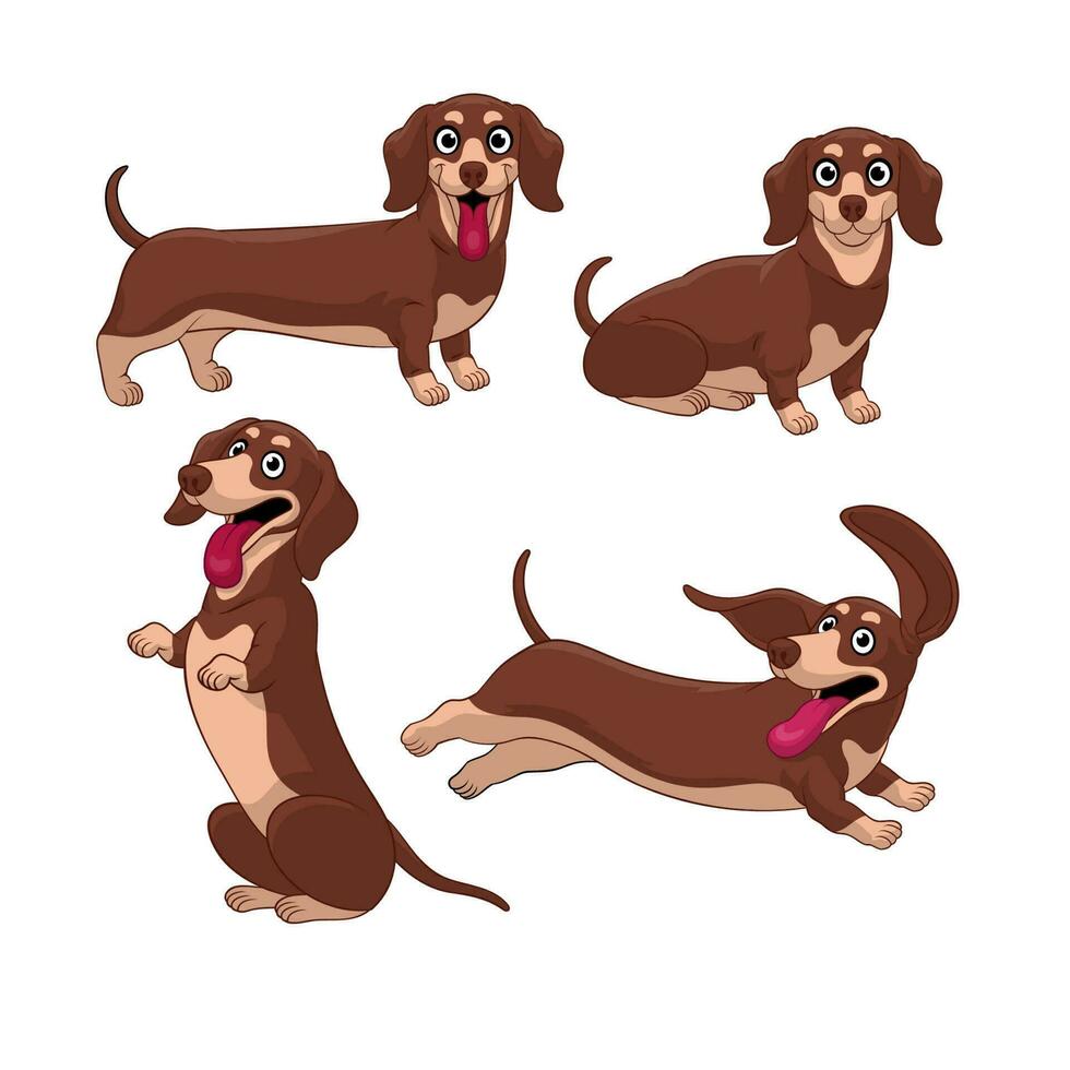 cartone animato bassotto cucciolo impostato nel vario posa vettore
