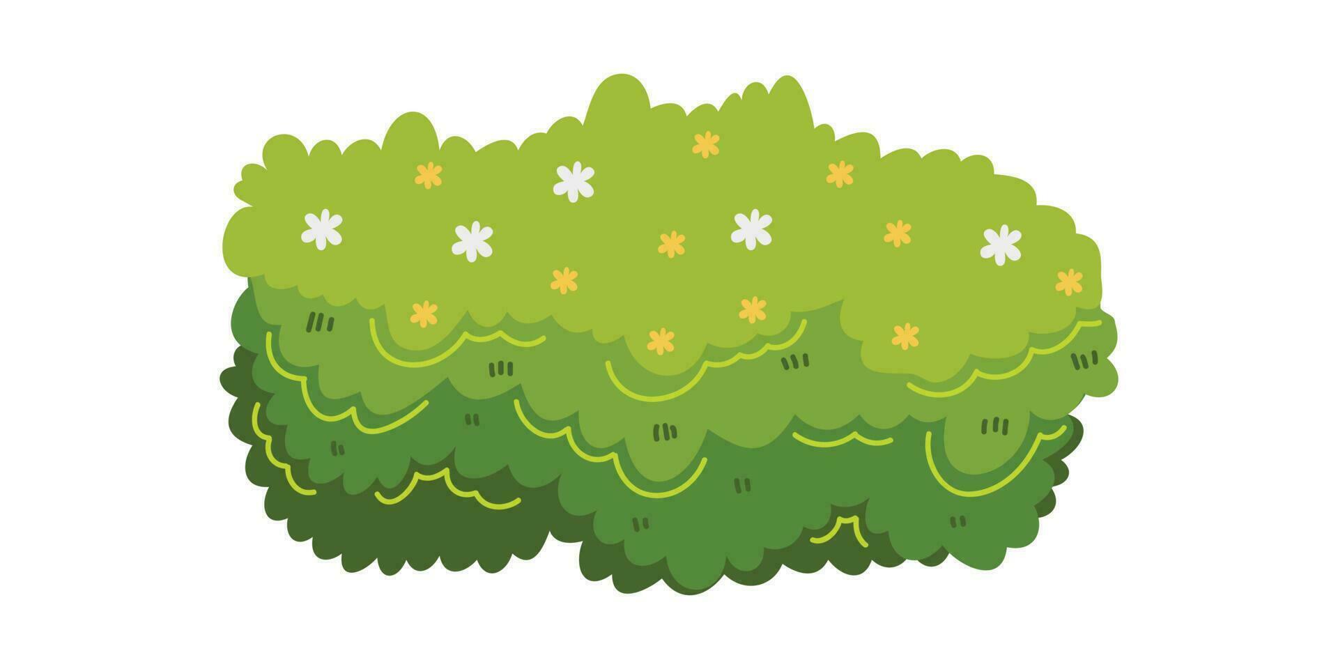 illustrazione di cespuglio per decorare il giardino magnificamente. ornamentale pianta arbusto per decorare di un' parco, un' giardino o un' verde recinzione. di spessore boschetti di arbusti. fogliame per primavera e estate carta design. vettore