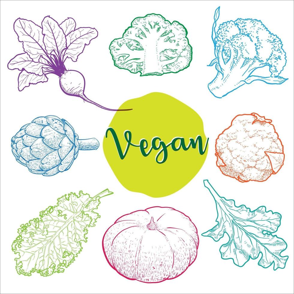 illustrazione disegnata a mano con verdure biologiche utilizzate in colori vivaci vettore