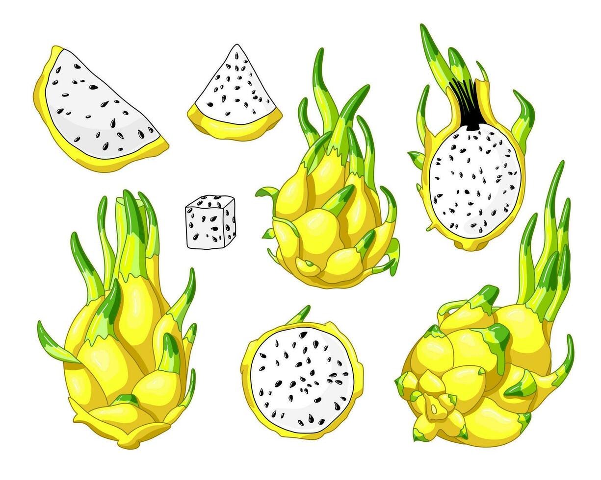 impostato di giallo Drago frutta elementi. totale frutta, metà e pezzi di pitaya. vettore illustrazione, cartone animato realistico stile. esotico succoso pitahaya. tropicale asiatico cibo