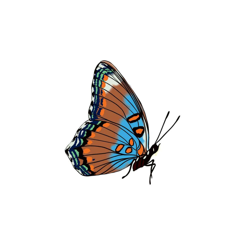 elegante farfalla con blu luminosa Ali e antenne. vettore illustrazione di un' bellissimo farfalla su un' bianca sfondo.