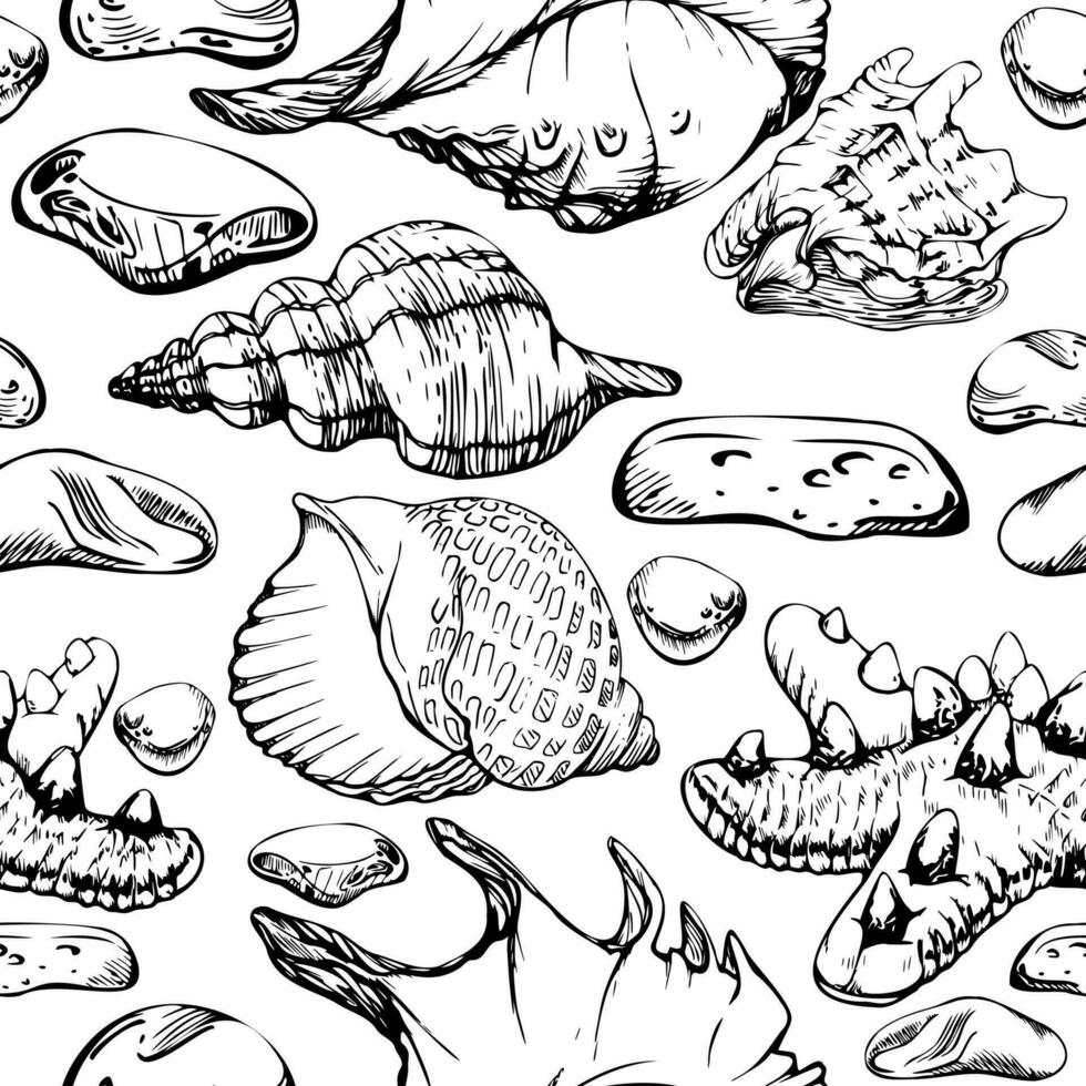 mano disegnato vettore inchiostro spiaggia assortito colorato mare bicchiere, conchiglie e stella marina. senza soluzione di continuità modello. isolato su bianca sfondo. parete arte, nozze, Stampa, tessuto, coperchio, carta, turismo, viaggio opuscolo.