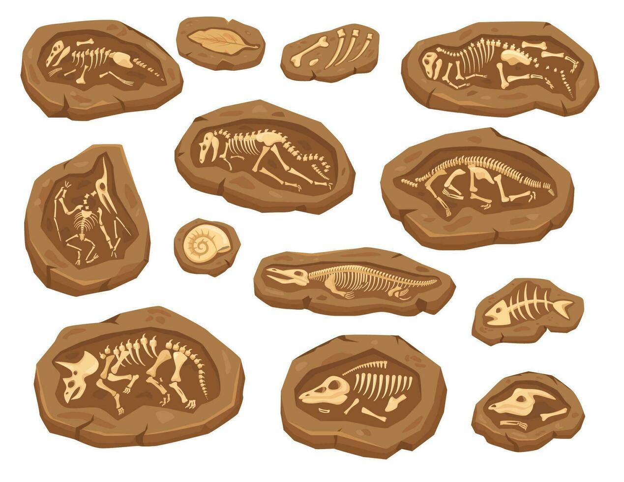 cartone animato dinosauri fossili, antico triceratopo dinosauro scheletro. ammonite e foglia fossile, paleontologico scavo elementi vettore impostato