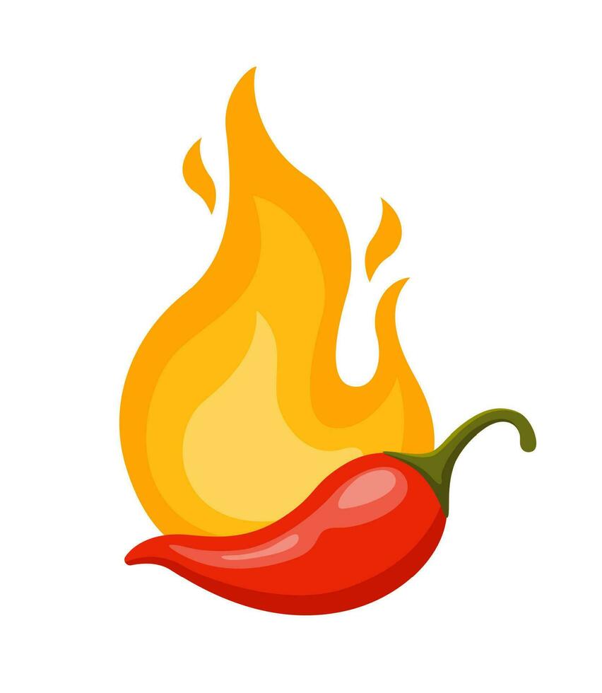 chili Pepe e fuoco. caldo ardente fuoco fiamma e rosso chili Pepe isolato su bianca sfondo. vettore illustrazione per ristorante design o speziato cibo menù.