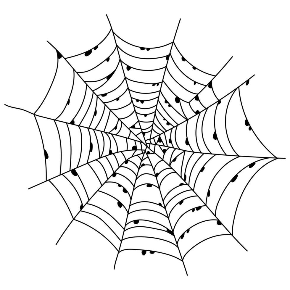 pauroso ragno ragnatela isolato. spaventoso Halloween decorazione. schema ragnatela illustrazione vettore