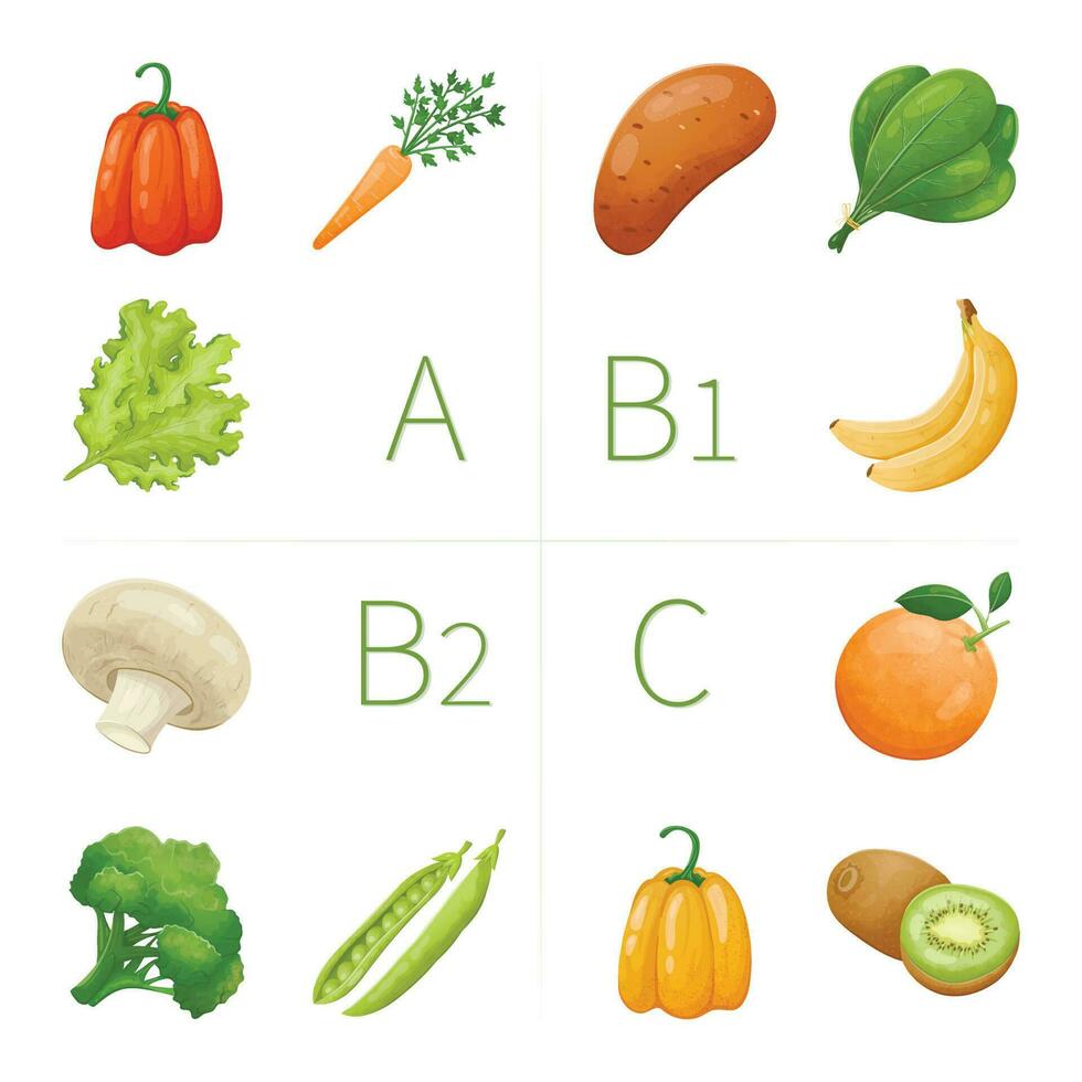 vettore Infografica modello su il argomento di salutare cibo e vitamine. illustrazione di fresco naturale verdure e frutta con nutrienti.