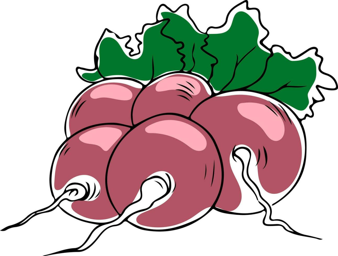 vettore Linea artistica stile mazzo di rosa ravanello con verdura isolato su bianca sfondo