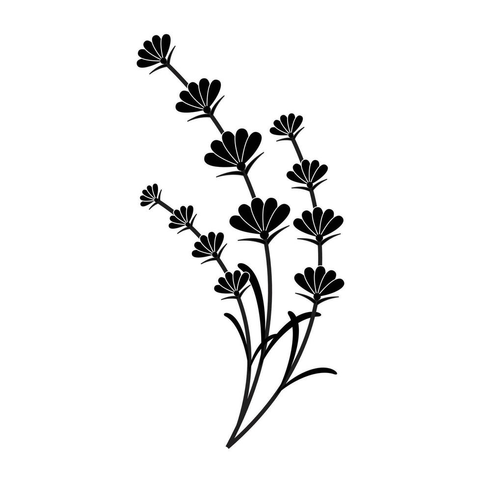 illustrazione vettore grafico di lavanda fiore nel un' bianca sfondo. Perfetto per icona, simbolo, tatuaggio, schermo stampa, eccetera.