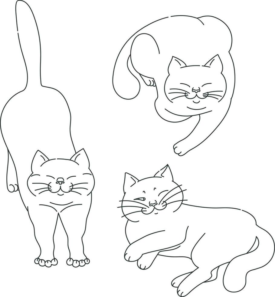 carino gatti contorni nel diverso pose isolato su bianca sfondo. impostato di gatto pose. gatto in posa. mano disegnato vettore arte.