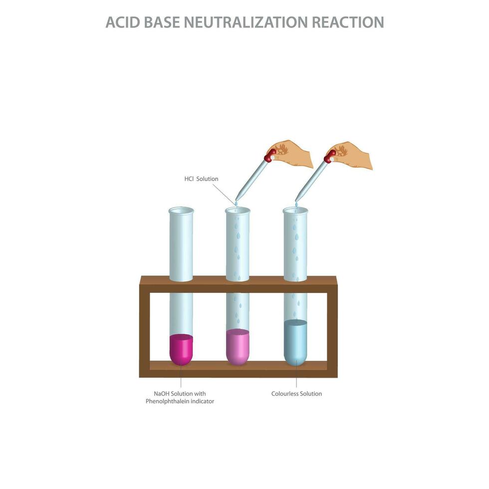 acido base neutralizzazione le forme sale e acqua, neutralizzante acido o di base soluzioni vettore