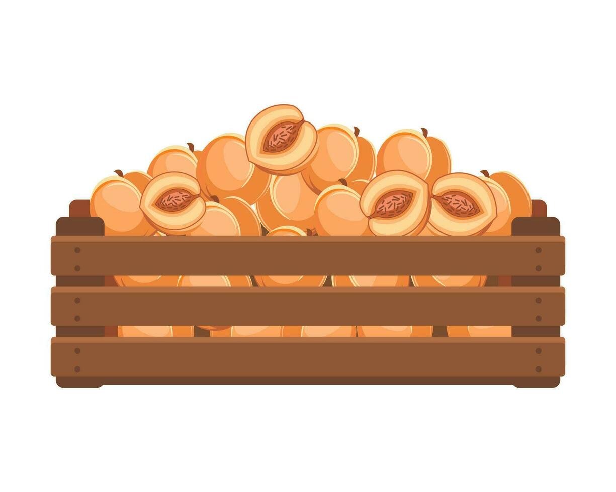 di legno scatola con maturo Pesche. salutare cibo, frutta, agricoltura illustrazione, vettore