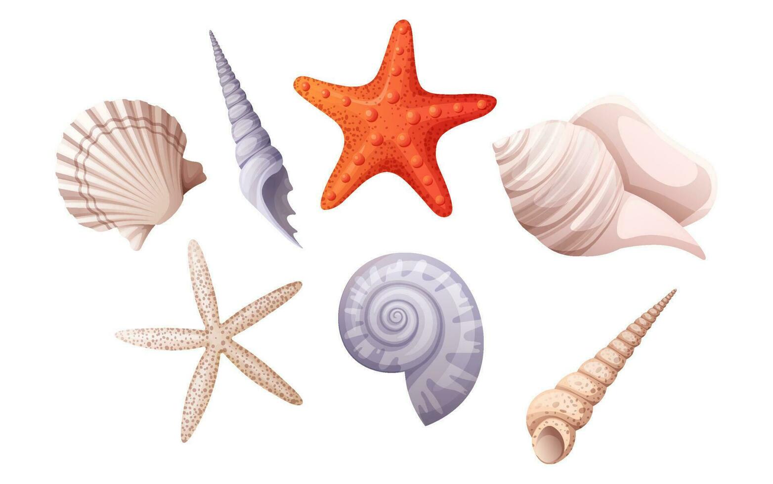 impostato di vario conchiglie spirale guscio, mollusco, stella marina. spiaggia illustrazione, marino concetto. vettore