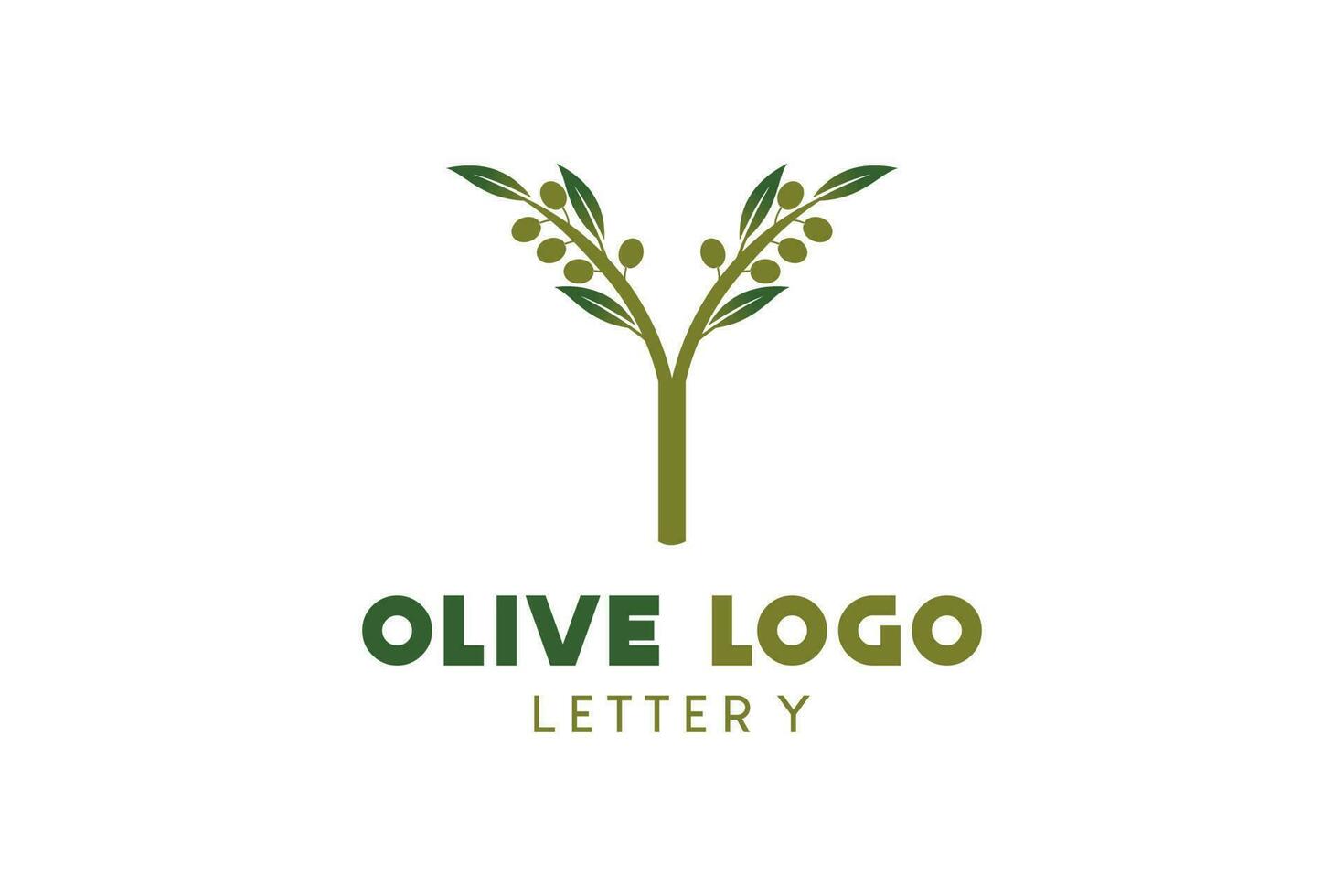 oliva logo design con lettera y concetto, naturale verde oliva vettore illustrazione