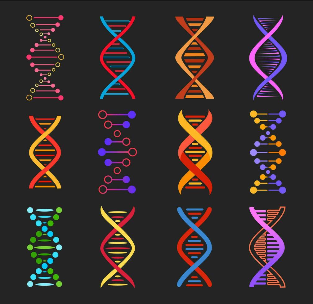 dna elica vettore icone di genetica medicina