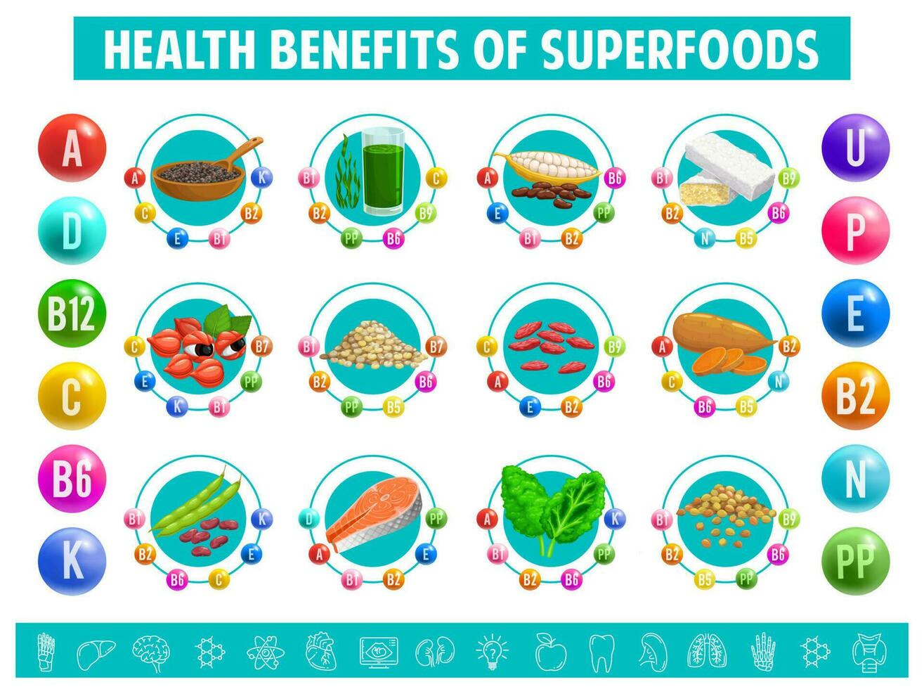 grafico tavolo soddisfare di vitamine nel superfood vettore