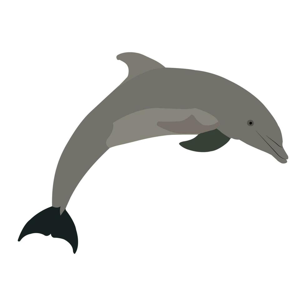 un' bellissimo delfino pesce vettore arte opera.