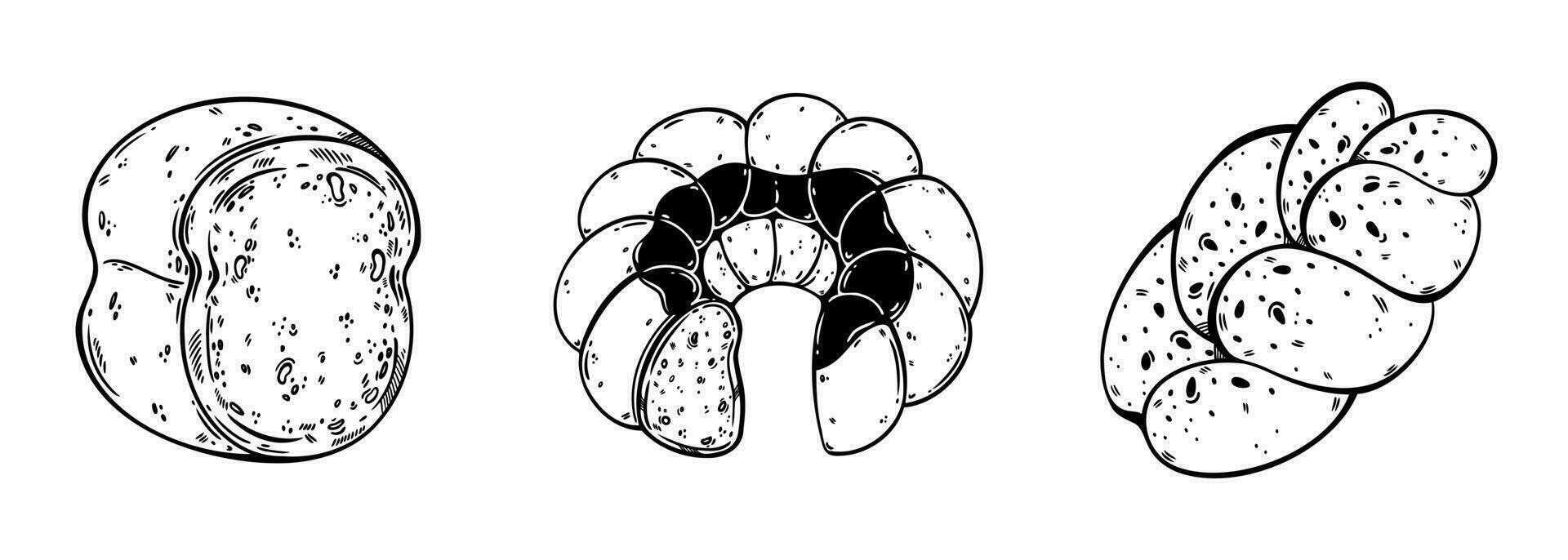 fresco pasticcini vettore impostare. croccante gustoso pane, pagnotta con sesamo semi, gugelhupf spugna torta. gustoso panino, cottura al forno per prima colazione. cibo schizzo, linea arte isolato su bianca. clipart per manifesto, Stampa, menù