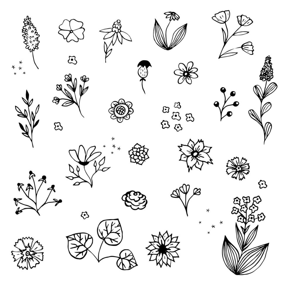 schizzo di ricamo floreale monocromatico. motivi botanici disegnati a mano di schizzo. scarabocchio, fiori da giardino, foglie, rami. moderna struttura vettoriale per moda, tessuto, stampa retrò.