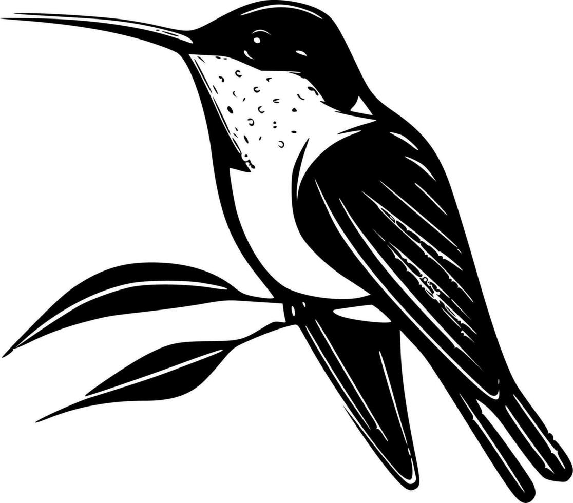 colibrì - nero e bianca isolato icona - vettore illustrazione
